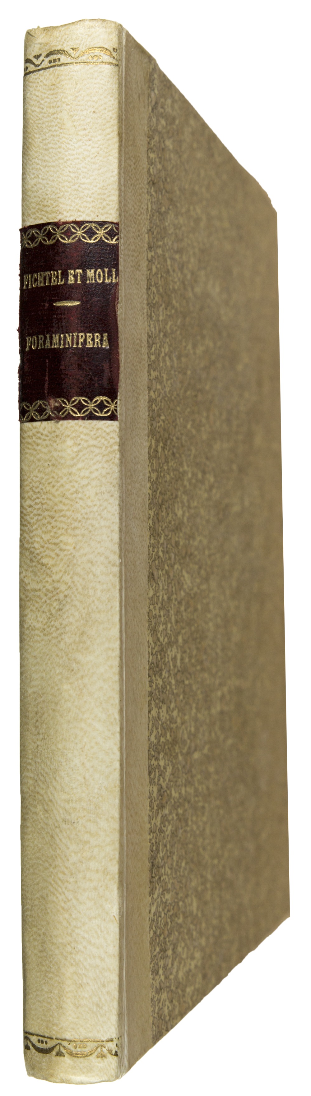 Vialibri ~ (906627).....rare books from 1803 Libreria a mur
